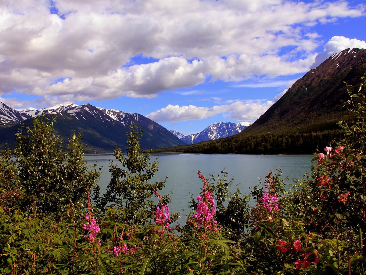 Reflection Lake Bed And Breakfast Anchorage Exterior photo