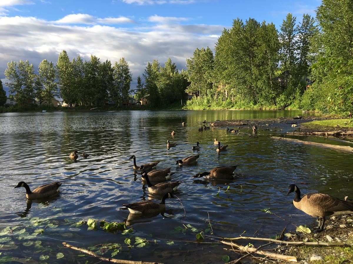 Reflection Lake Bed And Breakfast Anchorage Exterior photo